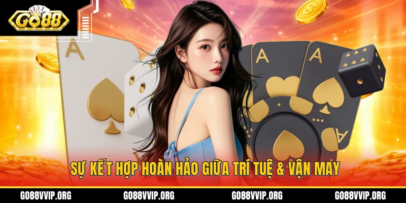 Sự kết hợp hoàn hảo giữa trí tuệ & vận may